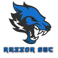 RazzorSec logo - Similar company to Bothub Global