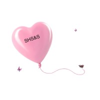 Structured Holistic Services & Schedules logo - Similar company to Roi Development Agency