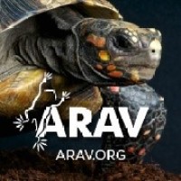 Association of Reptile and Amphibian Veterinarians (ARAV) logo - Similar company to European College Of Zoological Medicine (Eczm)
