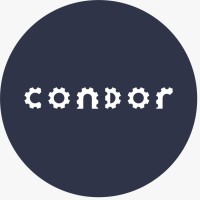 Condor Arabia Contracting Company logo - Similar company to First Roshn Contracting Company