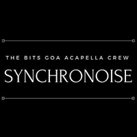 Synchronoise logo - Similar company to Bits & Bytes Solutions