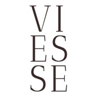 Viesse Digital Agency logo - Similar company to Rasga Creative ®