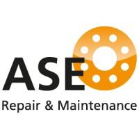 ASE Repair BV logo - Similar company to The Artificial