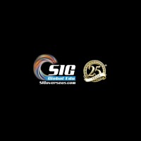 SIG Study Abroad - India logo - Similar company to Reymould