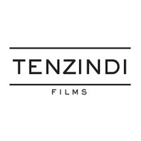 Tenzindi logo - Similar company to Pivot