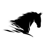Black Horse Animation & Design logo - Similar company to Monarca