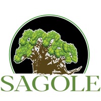 SAGOLE PLAYGROUNDS & SPORTS COURTS logo - Similar company to Boago Infrastructure (Pty) Ltd