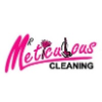 Mr Meticulous Cleaning logo - Similar company to Support Tech