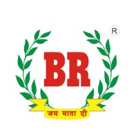 BRspices logo - Similar company to Projeto Aprender