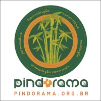 Instituto Pindorama logo - Similar company to Academia Dos Superdotados