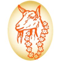 Surfing Goat Dairy logo - Similar company to New District