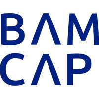 BAMCAP logo - Similar company to Tojoy Holding Group