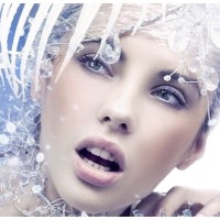 Friedrich Hertel , Kälte-Klimatechnik GmbH&Co.KG logo - Similar company to Döbrich & Kohl Gmbh