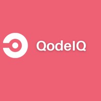 QodeIQ Labs logo - Similar company to Catapult 4D Llc