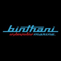 Binthani Marine logo - Similar company to Meere Aps