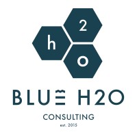 BLUE H20 Hospitality Consultants logo - Similar company to Multitech System