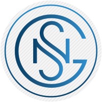 National Strategic Group logo - Similar company to Bay Technologies