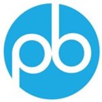 probilisim logo - Similar company to Netkur Network And Security Systems