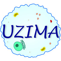 UZIMA logo - Similar company to Abem-Burundi