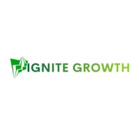 Ignite Growth Digital Pvt. Ltd. logo - Similar company to Market Mystique