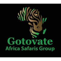 Gotovate Africa Safaris Group