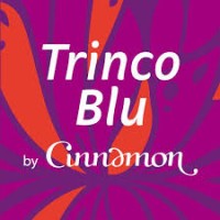 Trinco Blu by Cinnamon logo - Similar company to The White Crows Club
