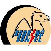 Roaring Camel (Power Station) logo - Similar company to Powerstationshop.Eu