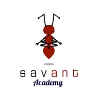 Savant Academy logo - Similar company to The Savant Training Academy