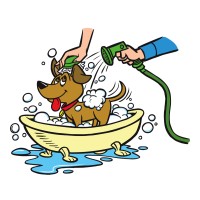 All Paws Pet Wash logo - Similar company to Hydro-Spray