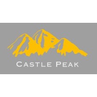 Castle Peak Advisors logo - Similar company to Castle Peak Advisory