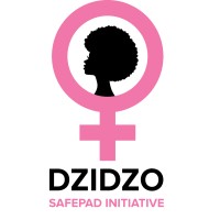 Dzidzo Safepad logo - Similar company to Hs Cw Foundation