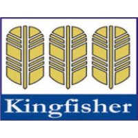 Kingfisher School of Business and Finance logo - Similar company to Ascii