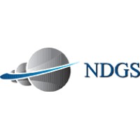 NDGS Consultants Pvt. Ltd. logo - Similar company to Profocus Group
