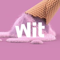 Wit Consulting logo - Similar company to Magic Agency