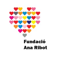 Fundació Ana Ribot logo - Similar company to Nironet Sl - 2000
