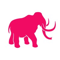 Little Giant logo - Similar company to Caruso