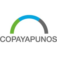 Copayapu Nos logo - Similar company to Trumatic Spa.
