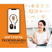 SOFTTHINK TECHNOLOGIES logo - Similar company to Vtsi