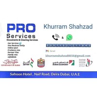 PRO SERVICES Dubai UAE logo - Similar company to Kpm Pro Services