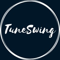 TuneSwing logo - Similar company to Hydrohype