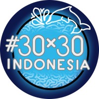 30x30 Indonesia logo - Similar company to Hyrea - Hydrogen Renewable Energy Australia
