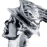 Mercury Professional Group, Inc.