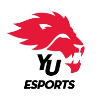 York Esports logo - Similar company to Tech Studios Consulting Inc