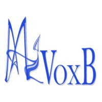 AIVOXB SOLUTIONS LIMITED - RWANDA logo - Similar company to Nixotech Solution Limited