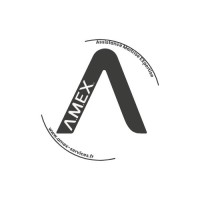 A.M.EX. Assistance Maitrise EXpertise logo - Similar company to Serpollet Dauphiné