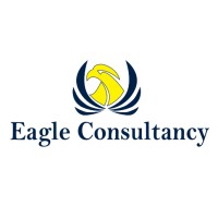 Eagle Consultancy logo - Similar company to Mentor Knowledge Solutions