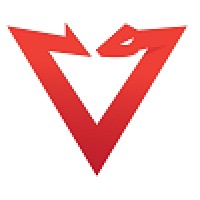 PacketViper logo - Similar company to Helm Connected