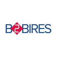 B2BIRES S.R.L. logo - Similar company to Checkerstv