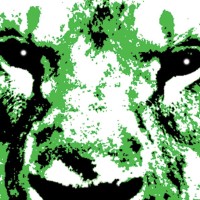 Green Lion logo - Similar company to Prospectabase