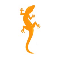 Agencia Wild Market logo - Similar company to Raca_Mandaka